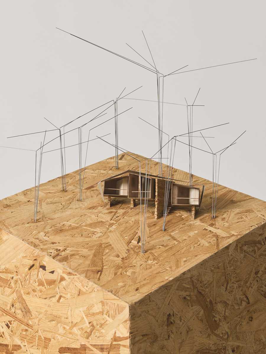 Bukit Lawang Lodge, Indonesia